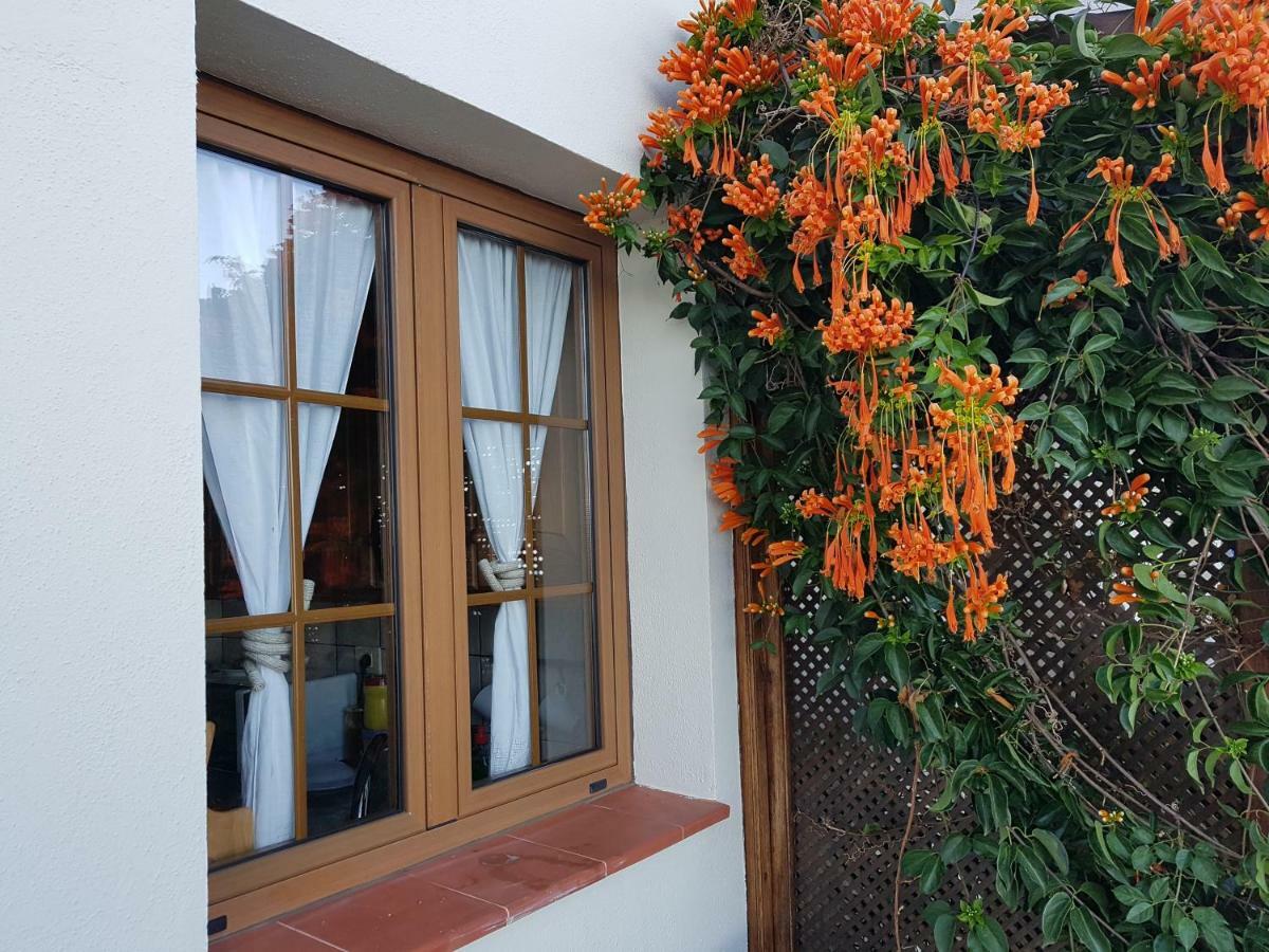 Ferienhaus Aldani Tijarafe